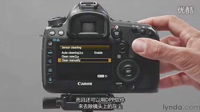 AI写作工具：新手与专业人士的选择